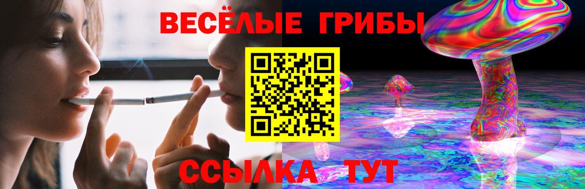 Псилоцибиновые грибы ЛСД Елабуга