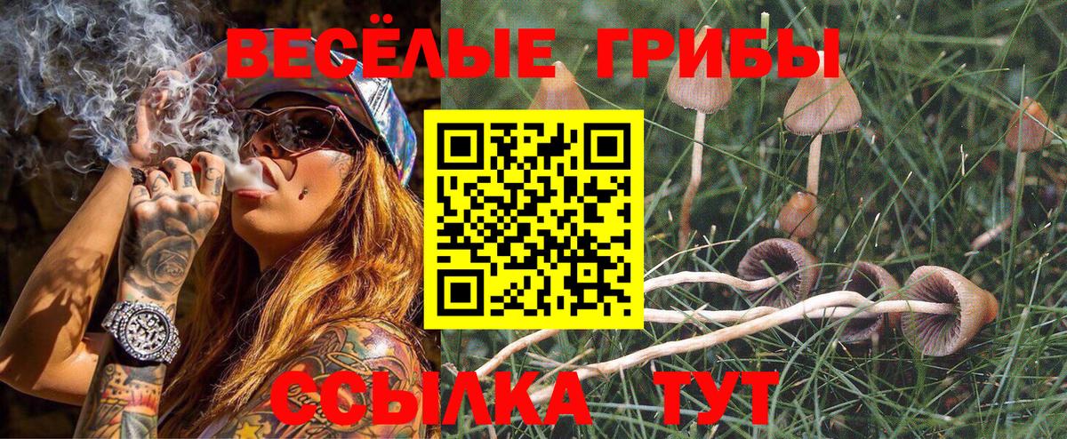 Елабуга  Галлюциногенные грибы Psilocybe  сколько стоит  Вход с VPN 